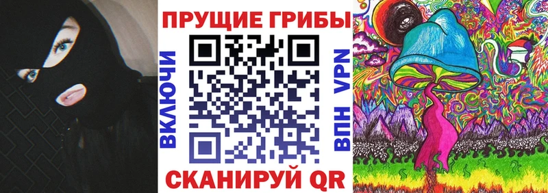 Псилоцибиновые грибы Psilocybe Вяземский